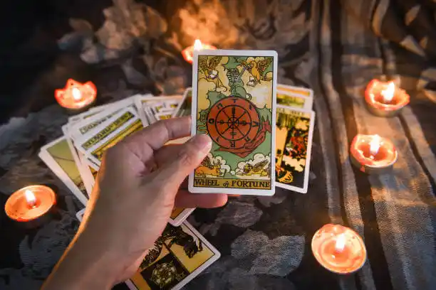 tarot cards Bude